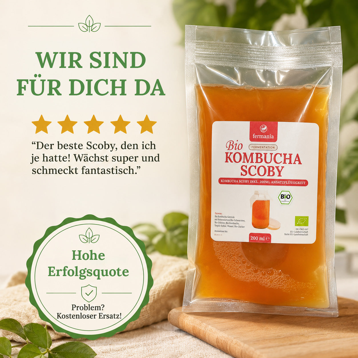 Kombucha Medium Starter Set mit Kombucha Teepilz (SCOBY) + Zubehör