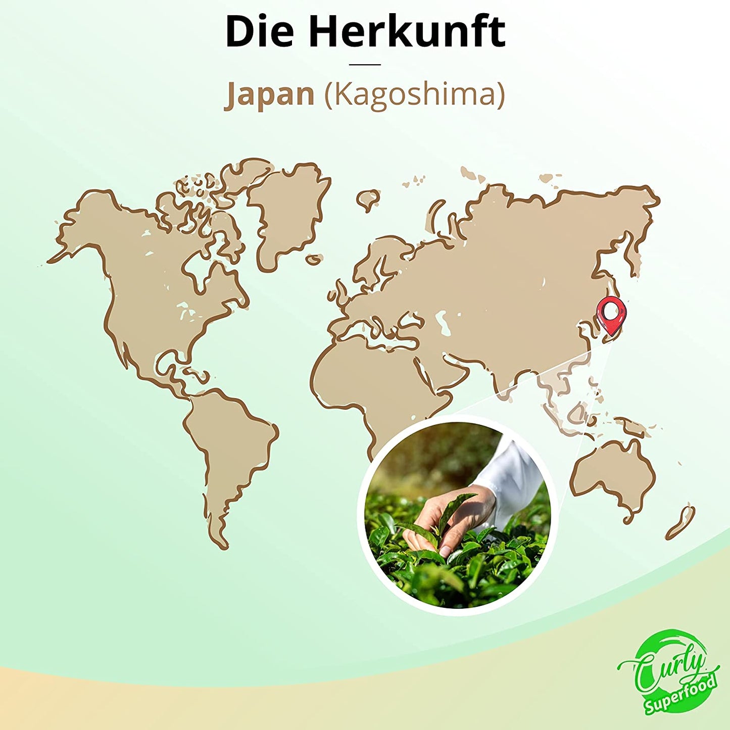 Bio Matcha Pulver | 100 g Matcha Tee