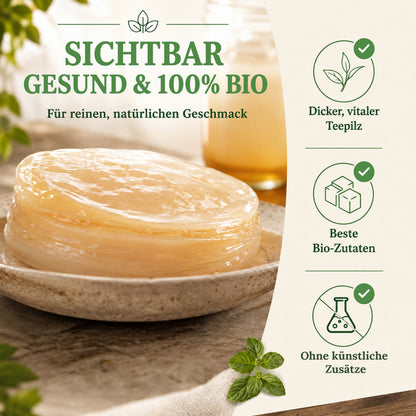 Kombucha Medium Starter Set mit Kombucha Teepilz (SCOBY) + Zubehör