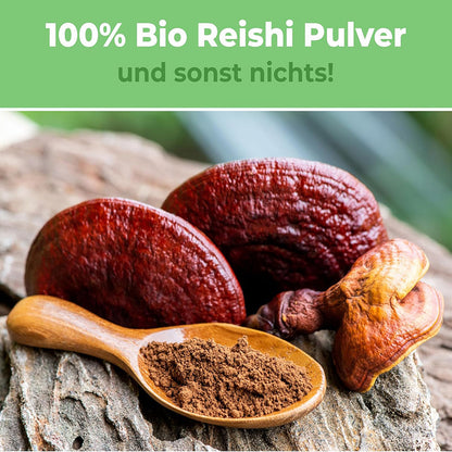 Reishi Pulver 250g | Bio | Vitalpilz für Reishi Tee