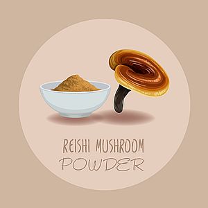 Reishi Pulver 250g | Bio | Vitalpilz für Reishi Tee