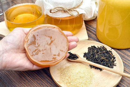 Kombucha Starter Set mit Kombucha Teepilz (SCOBY) + Zubehör – von Fermania