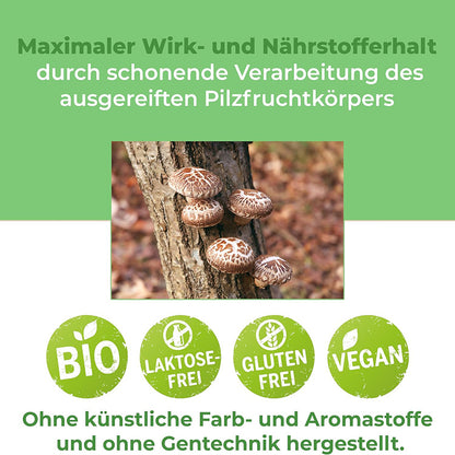 Bio Shiitake Pulver 250g – Premiumqualität für dein Wohlbefinden und deinen Genuss