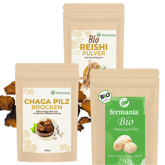 Vitalpilz Set Chaga | Hericium | Reishi