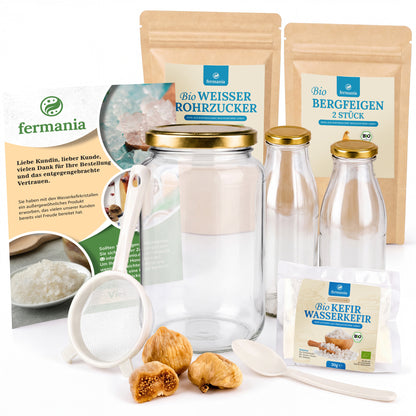 Wasserkefir-Starter-Set