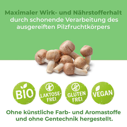Agaricus Blazei - Mandelpilz Pulver | Bio 125g