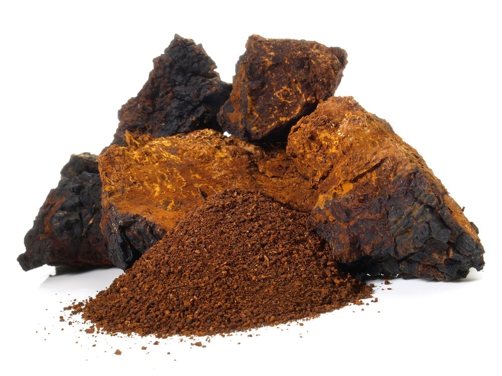 Chaga Pilz Pulver