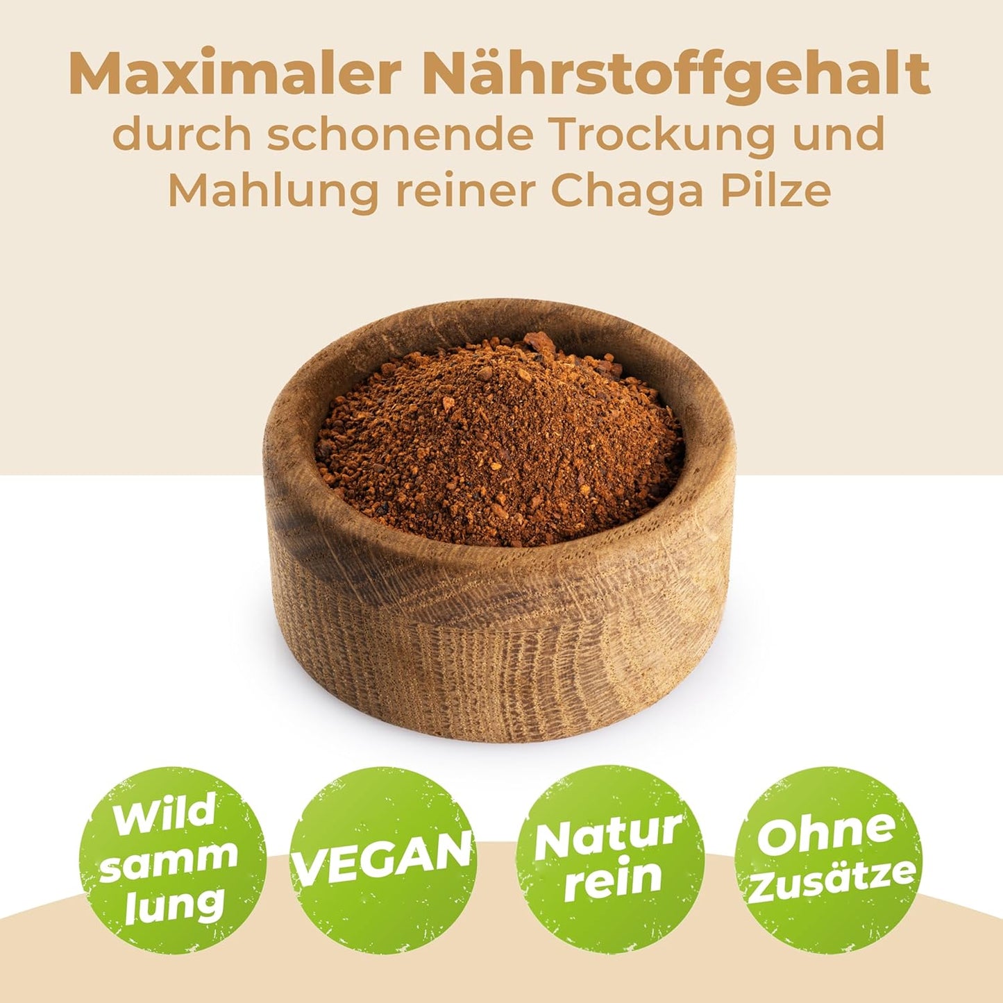 Chaga Pulver aus baltischer Vitalpilz-Wildsammlung