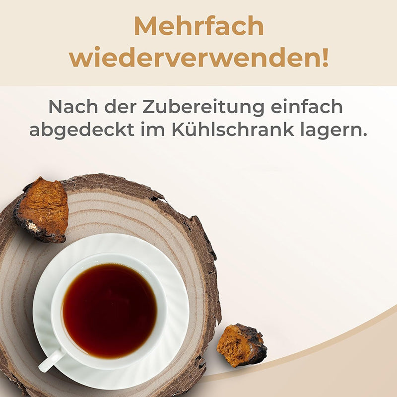 chaga pilz aufbewahren Chaga Tee Pilz-Brocken aus Sibirien – Fermania