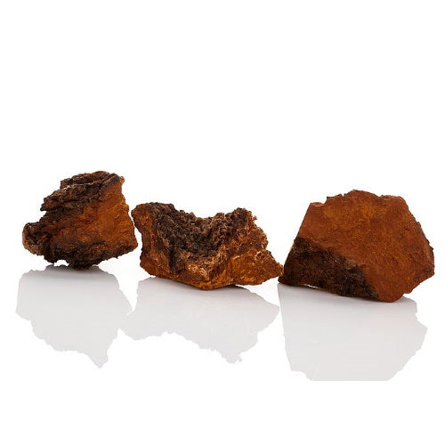 Chaga Pilz Tee 250g Vitalpilz aus Finnland