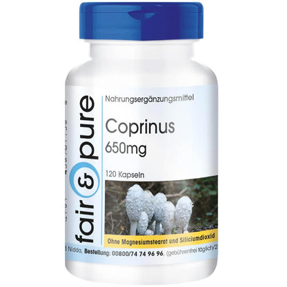 Coprinus Comatus Kapseln | 650mg 120 Stück