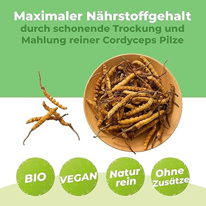 Bio Cordyceps Militaris Pulver
