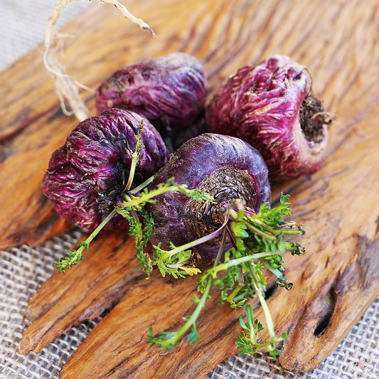 Rotes Maca Pulver aus Peru