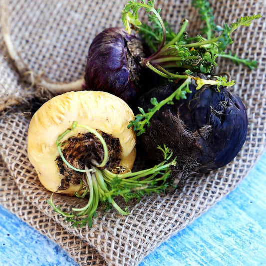 Bio Maca Pulver Schwarz