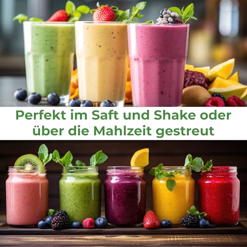 Hericium Pulver 250g | Bio | Rohkost | Hochwertiger Vitalpilz Igelstachelbart